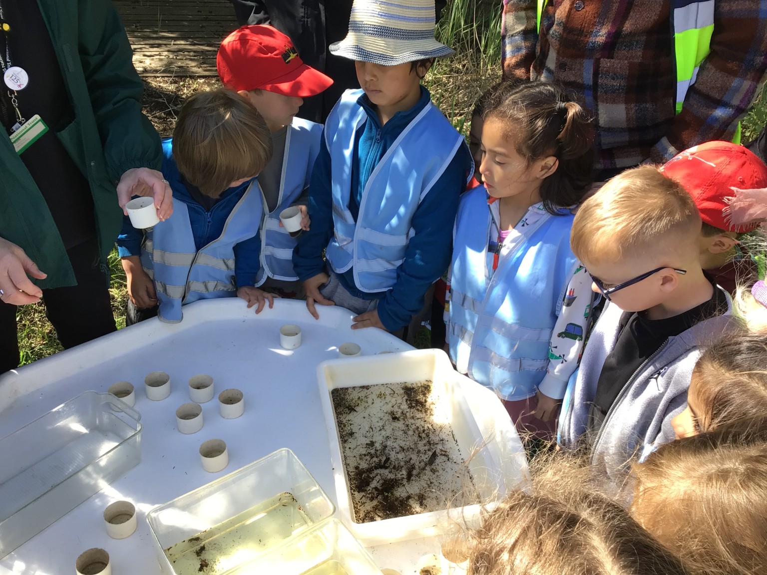 Wicken Fen EYFS