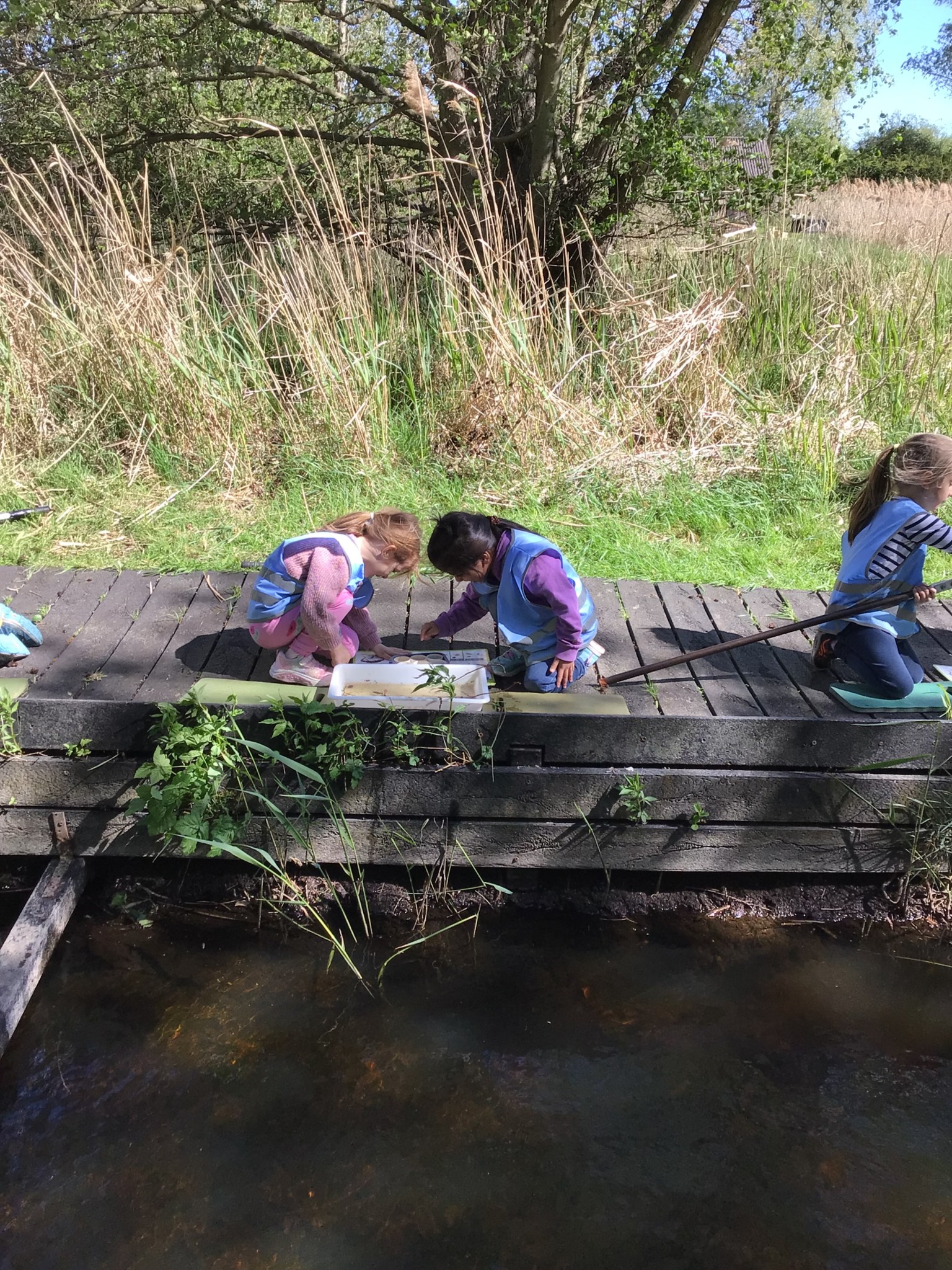 Wicken Fen EYFS