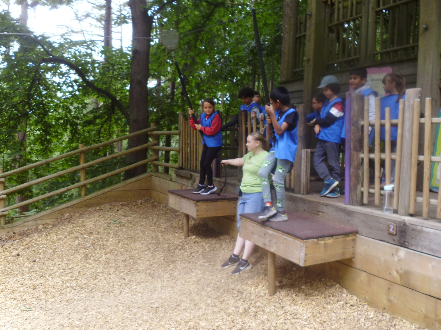 Bewilderwood