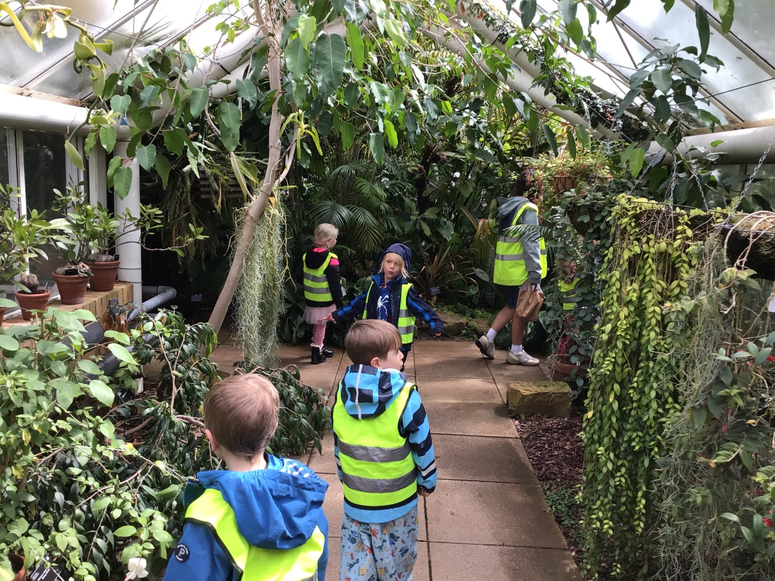 Botanic Gardens 