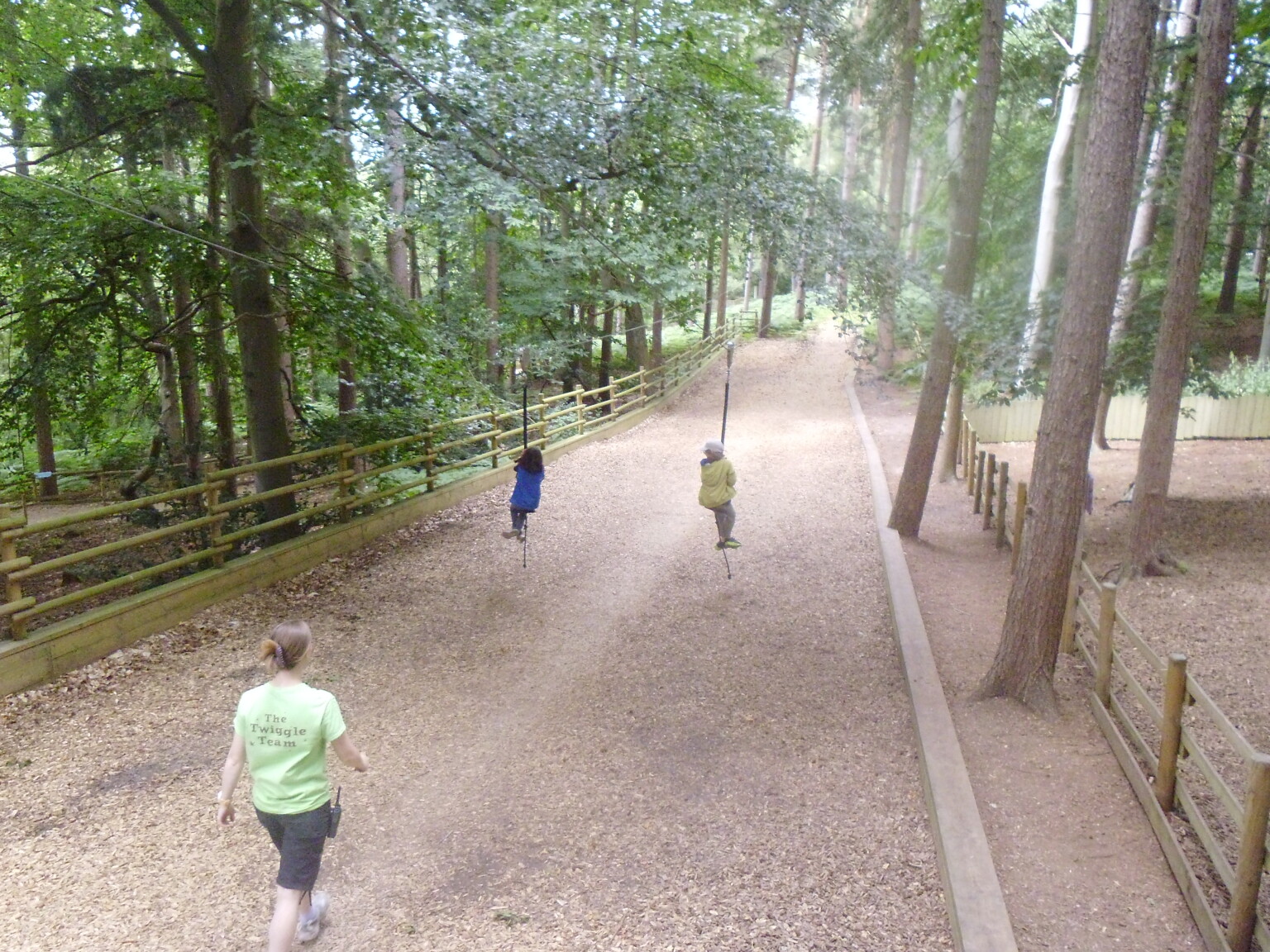 Bewilderwood