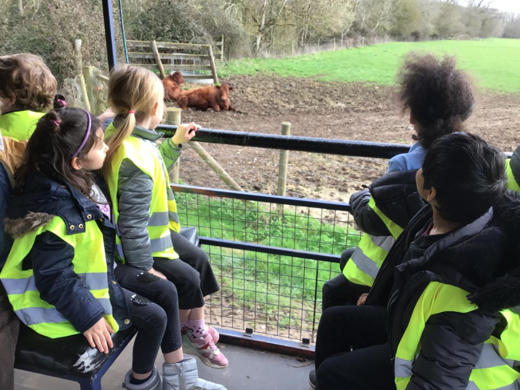 Class 5 Y2 Church Farm Trip