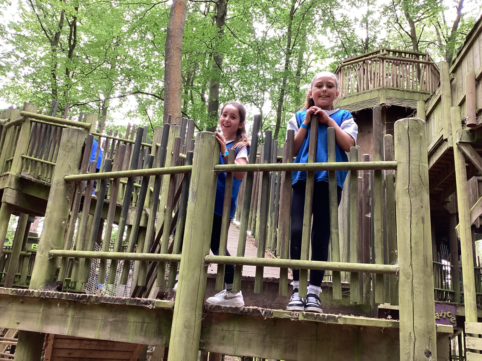 Bewilderwood