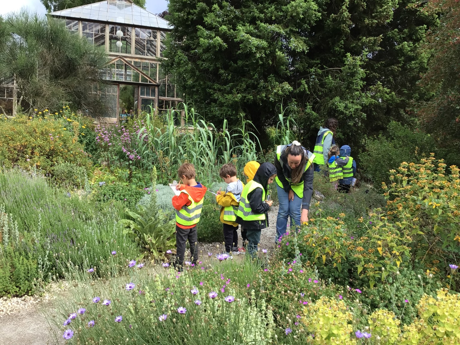 Botanic Gardens 