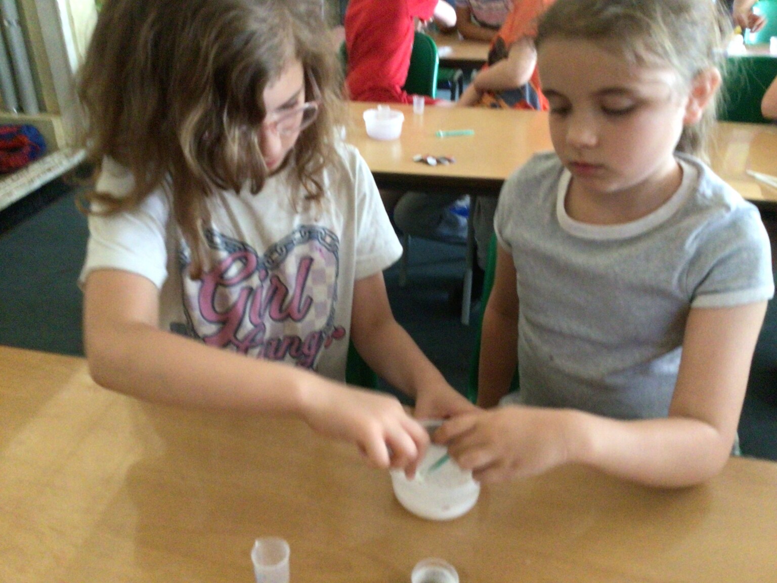 year 4 science