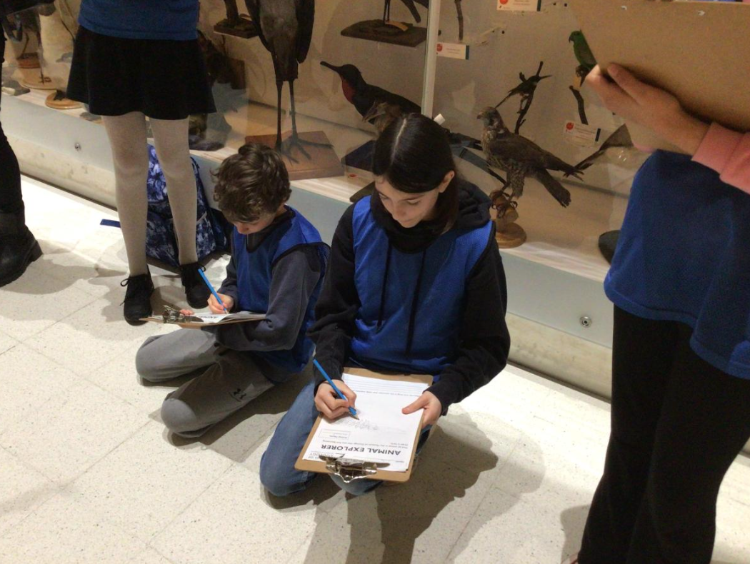 Year 6 visited the Museum of Zoology and the Sedgwick Museum