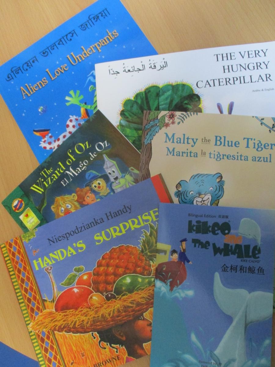 A wide range of dual language texts in classes.