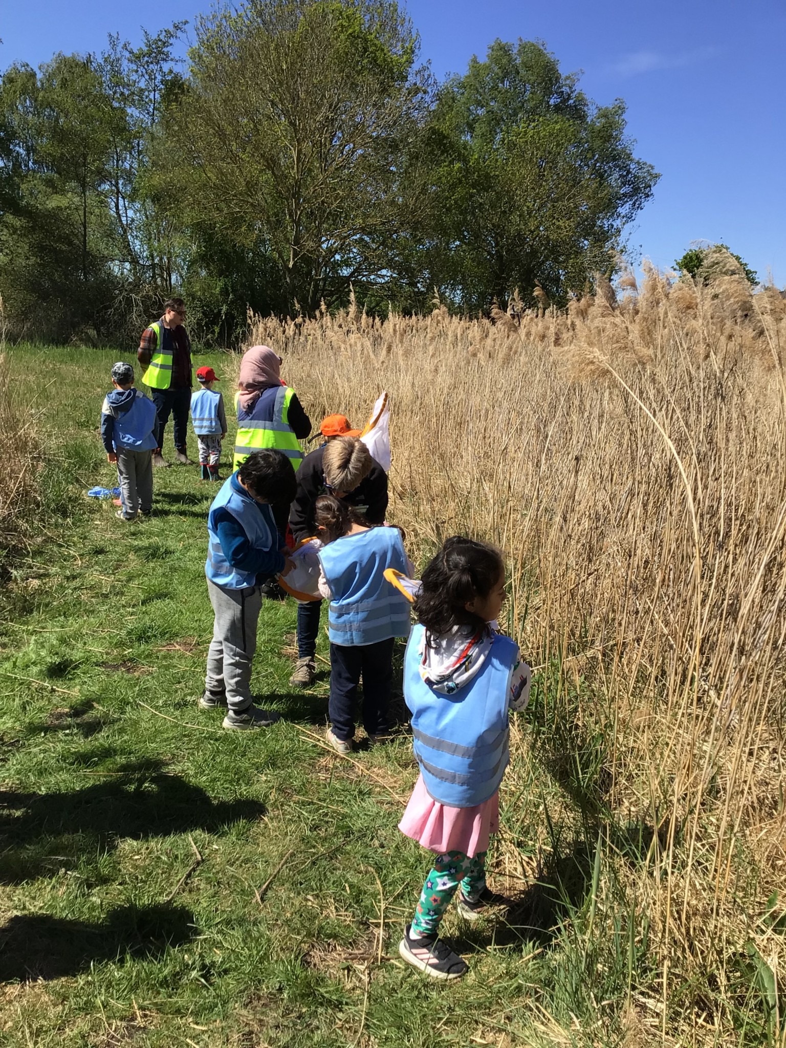 Wicken Fen EYFS