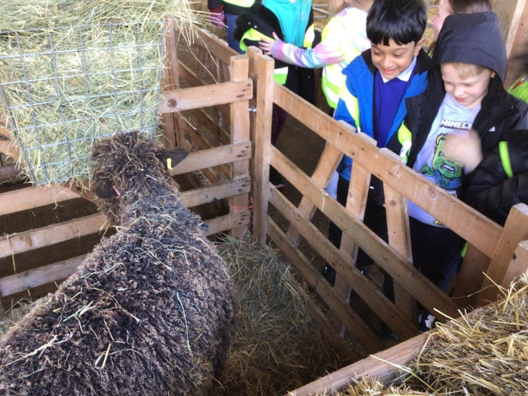 Class 5 Y2 Church Farm Trip