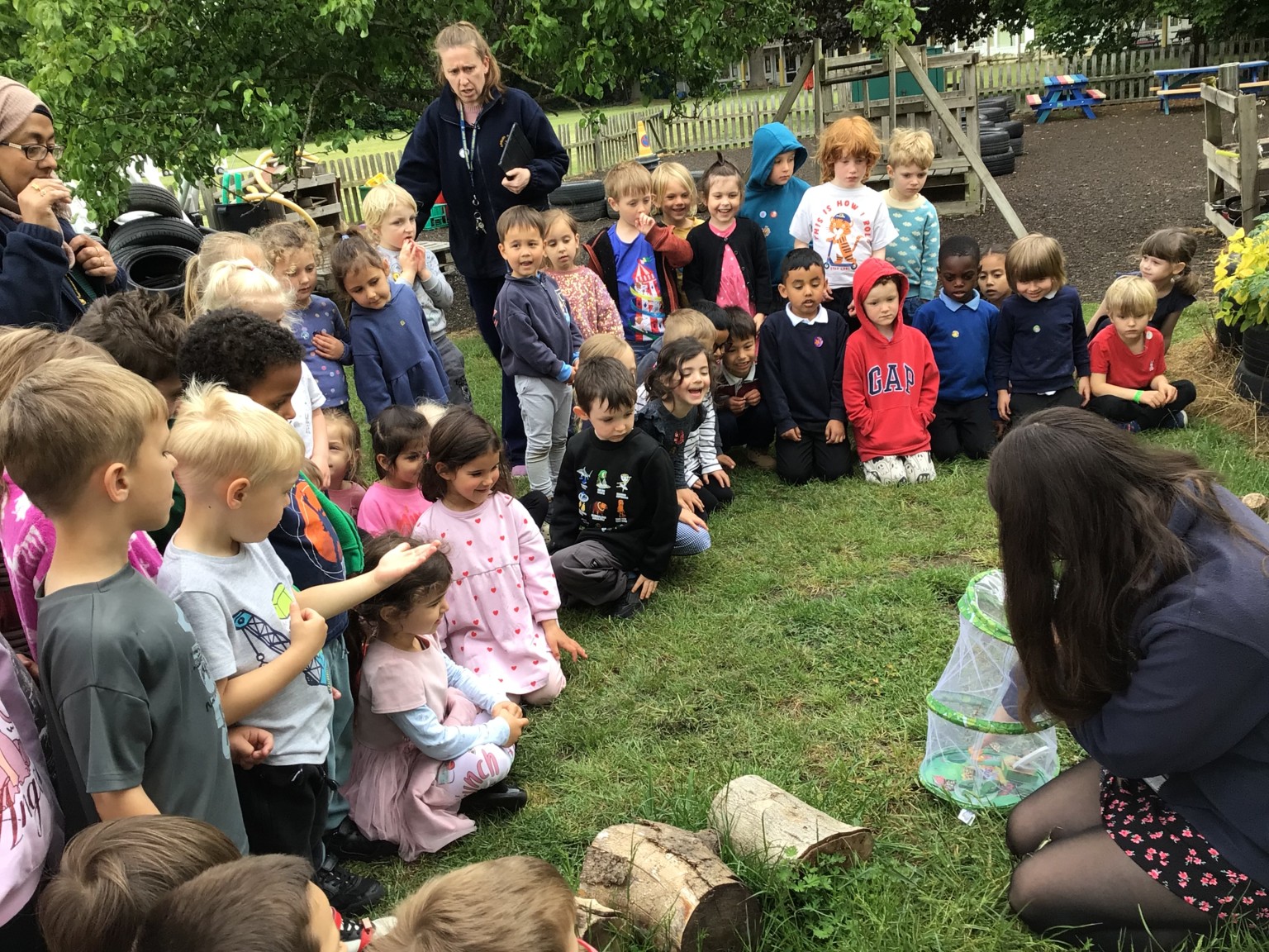 EYFS - Butterfly Release Day! 