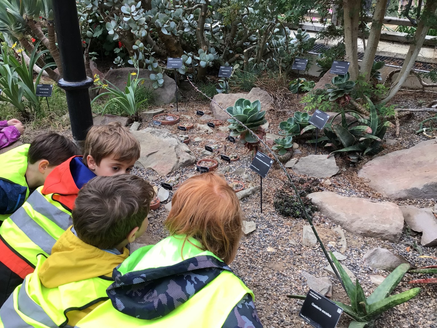 Botanic Gardens 