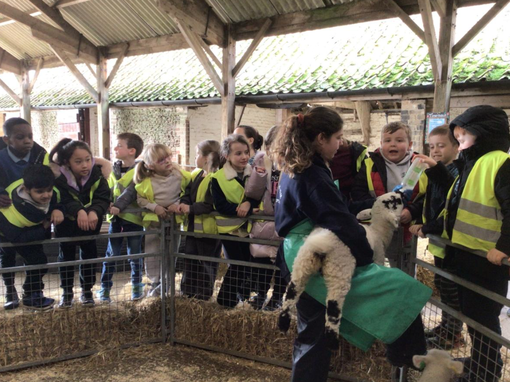 Class 6 Y2 Church Farm Trip