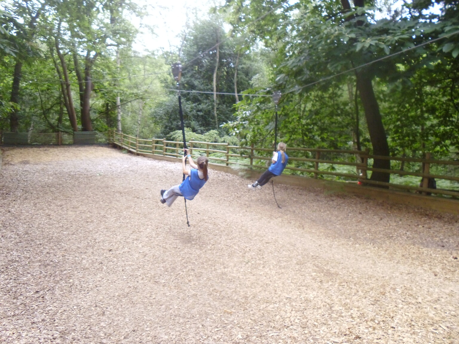 Bewilderwood