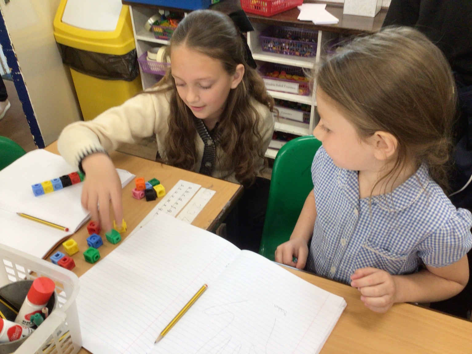 Year 1 Science Investigation 