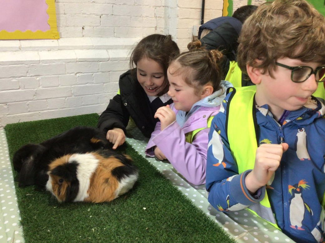 Class 5 Y2 Church Farm Trip