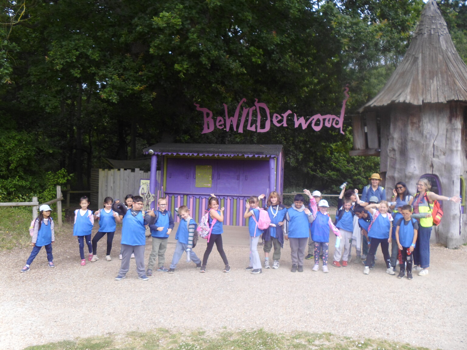 Bewilderwood