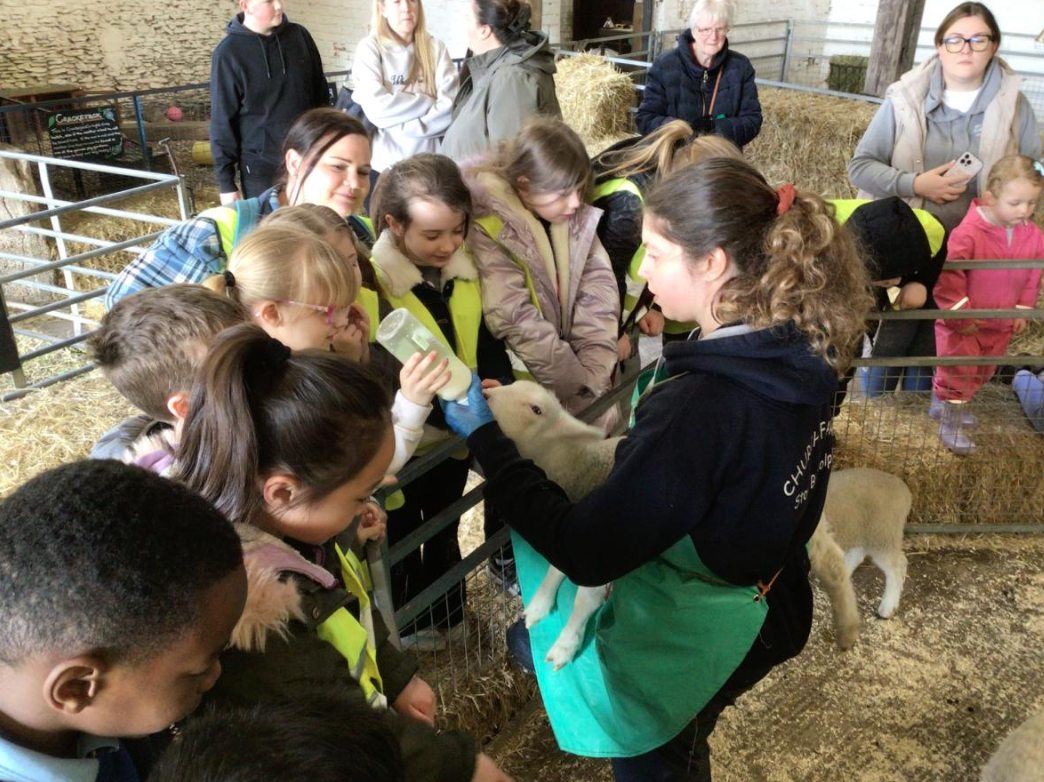 Class 6 Y2 Church Farm Trip