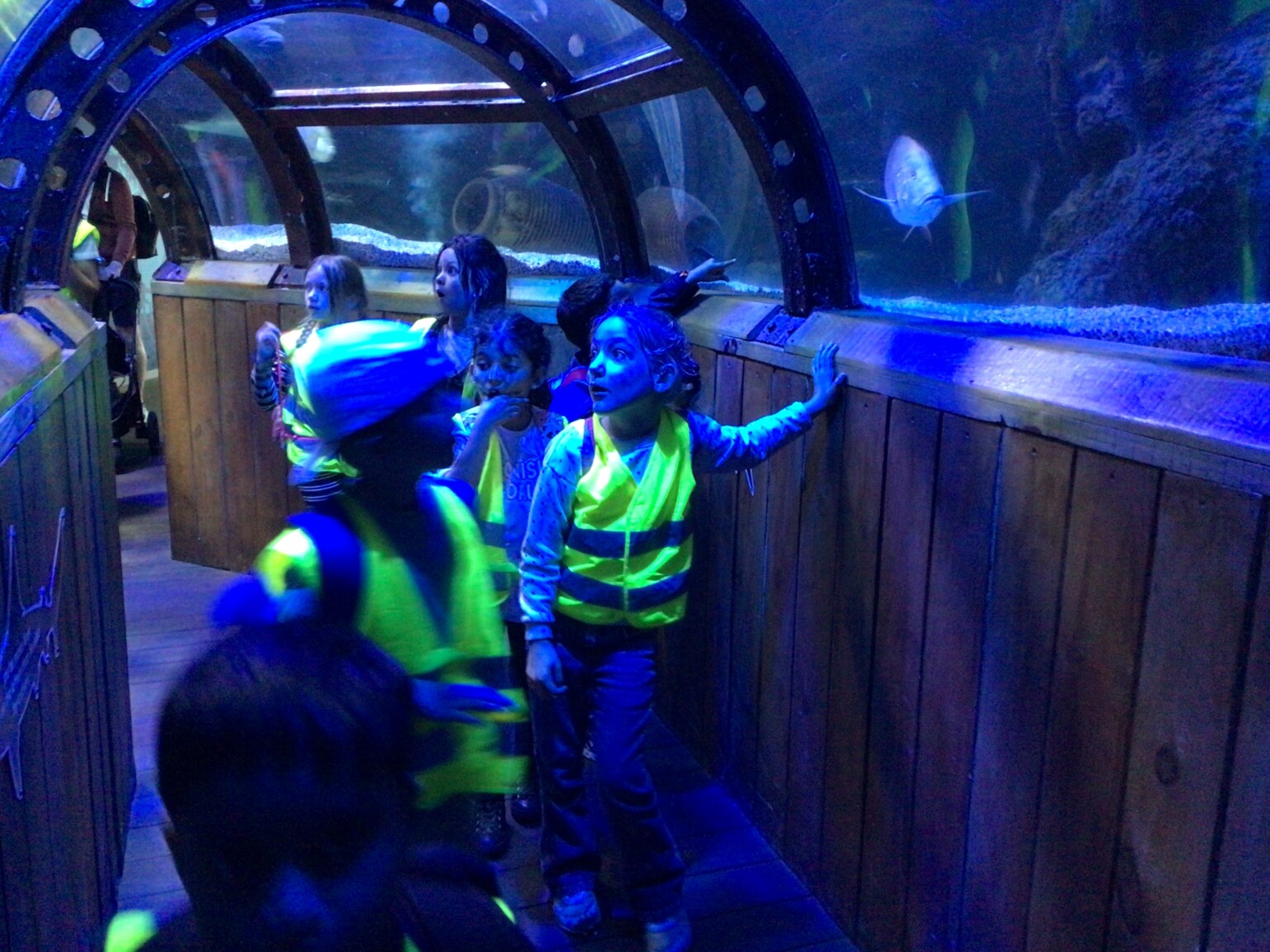 Y2 Hunstanton Visit 