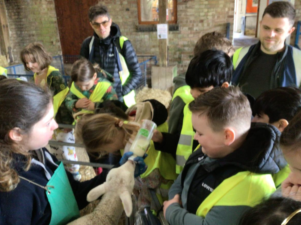 Class 6 Y2 Church Farm Trip