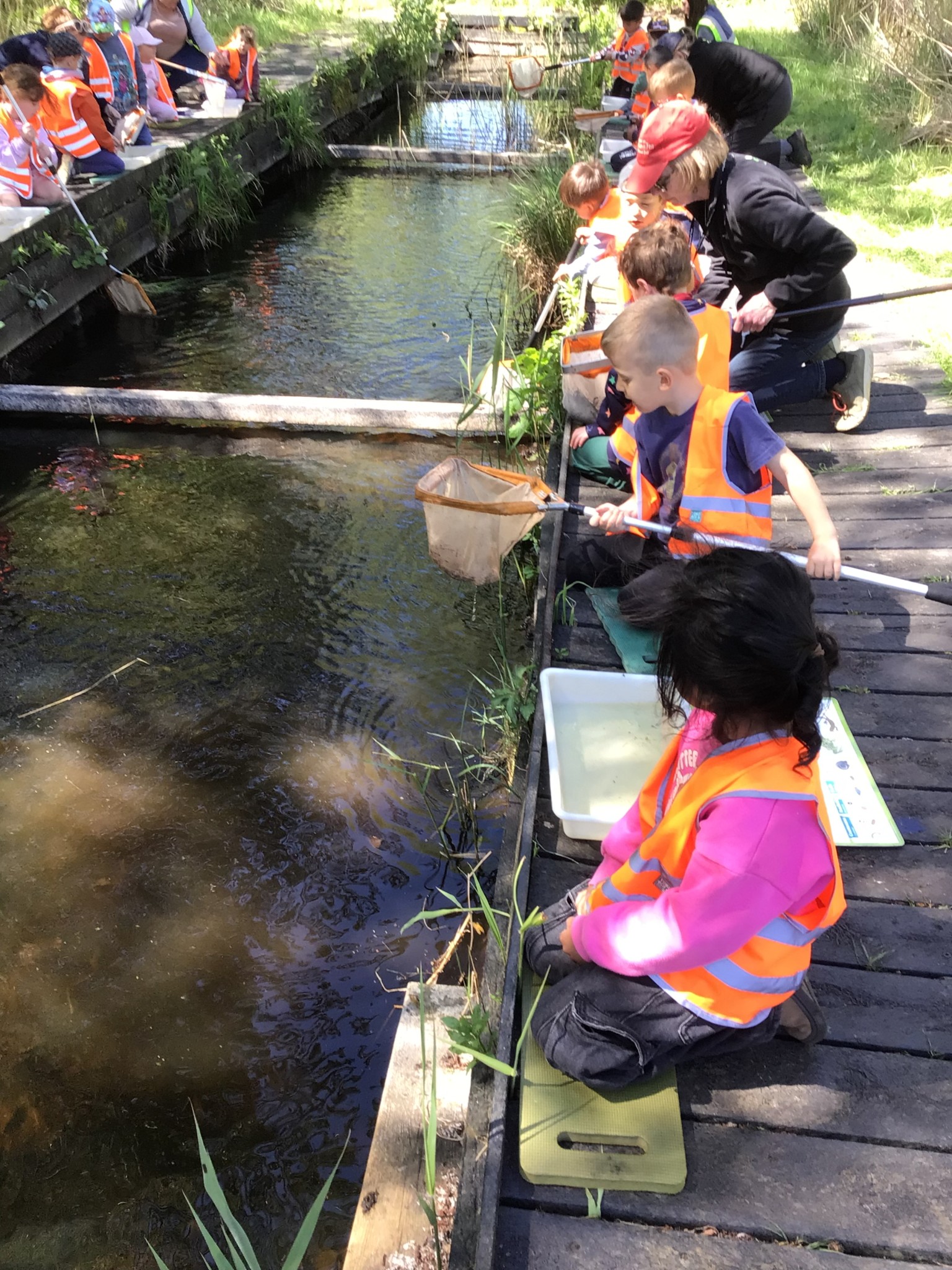 Wicken Fen EYFS