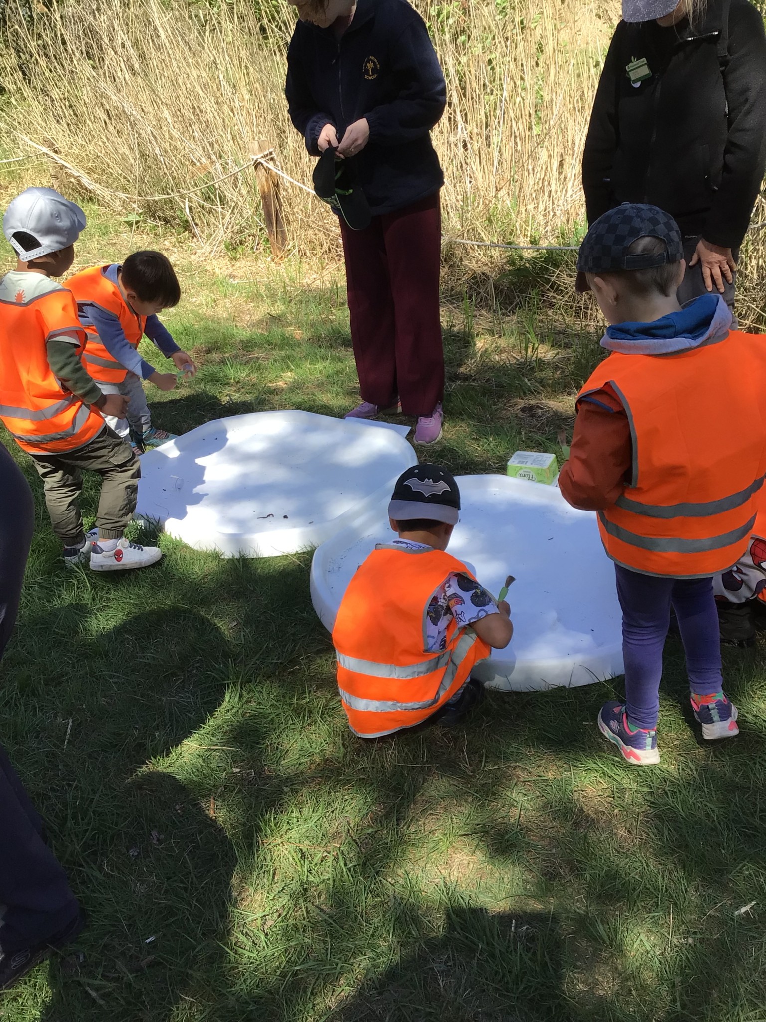 Wicken Fen EYFS