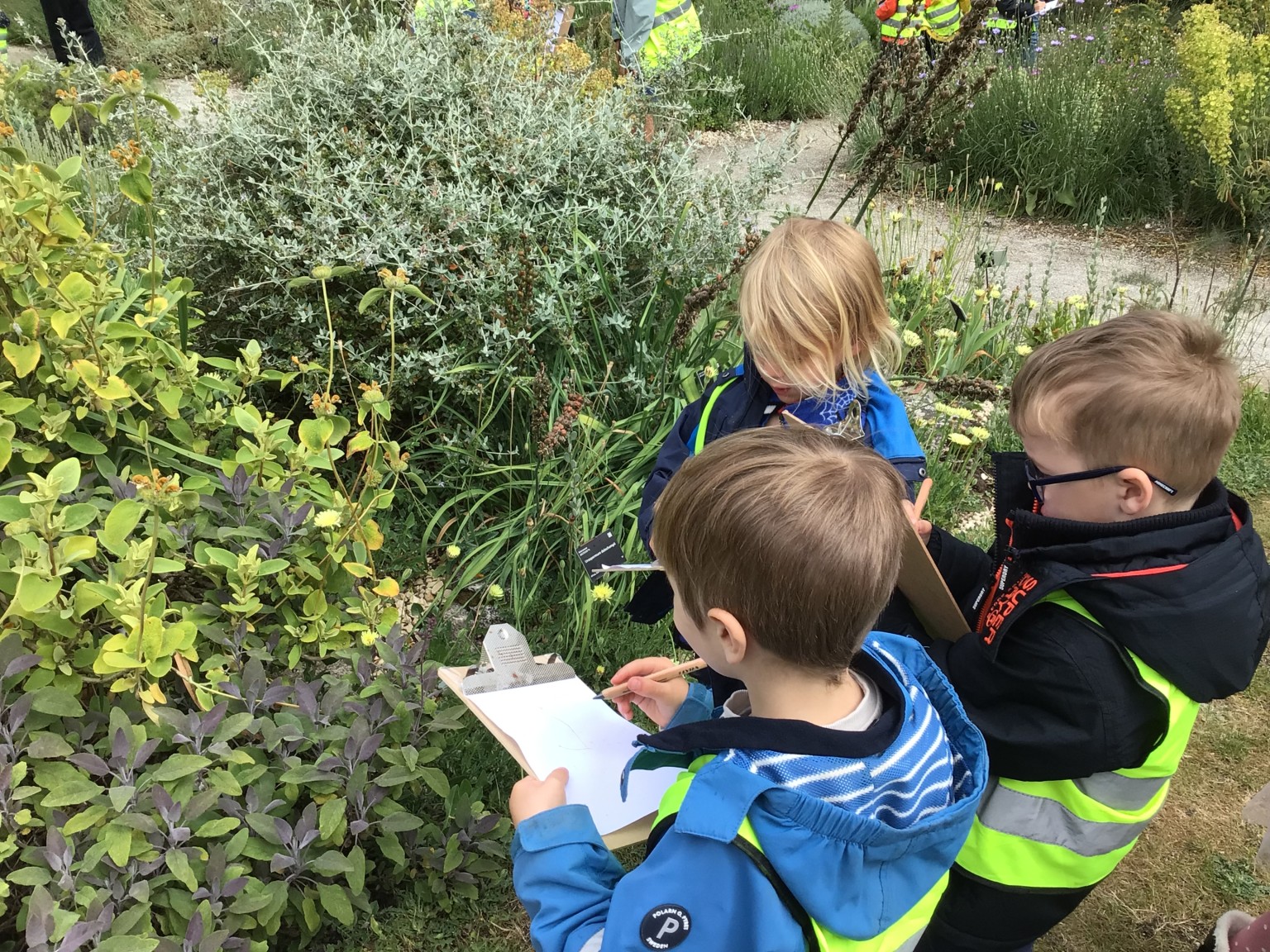 Botanic Gardens 