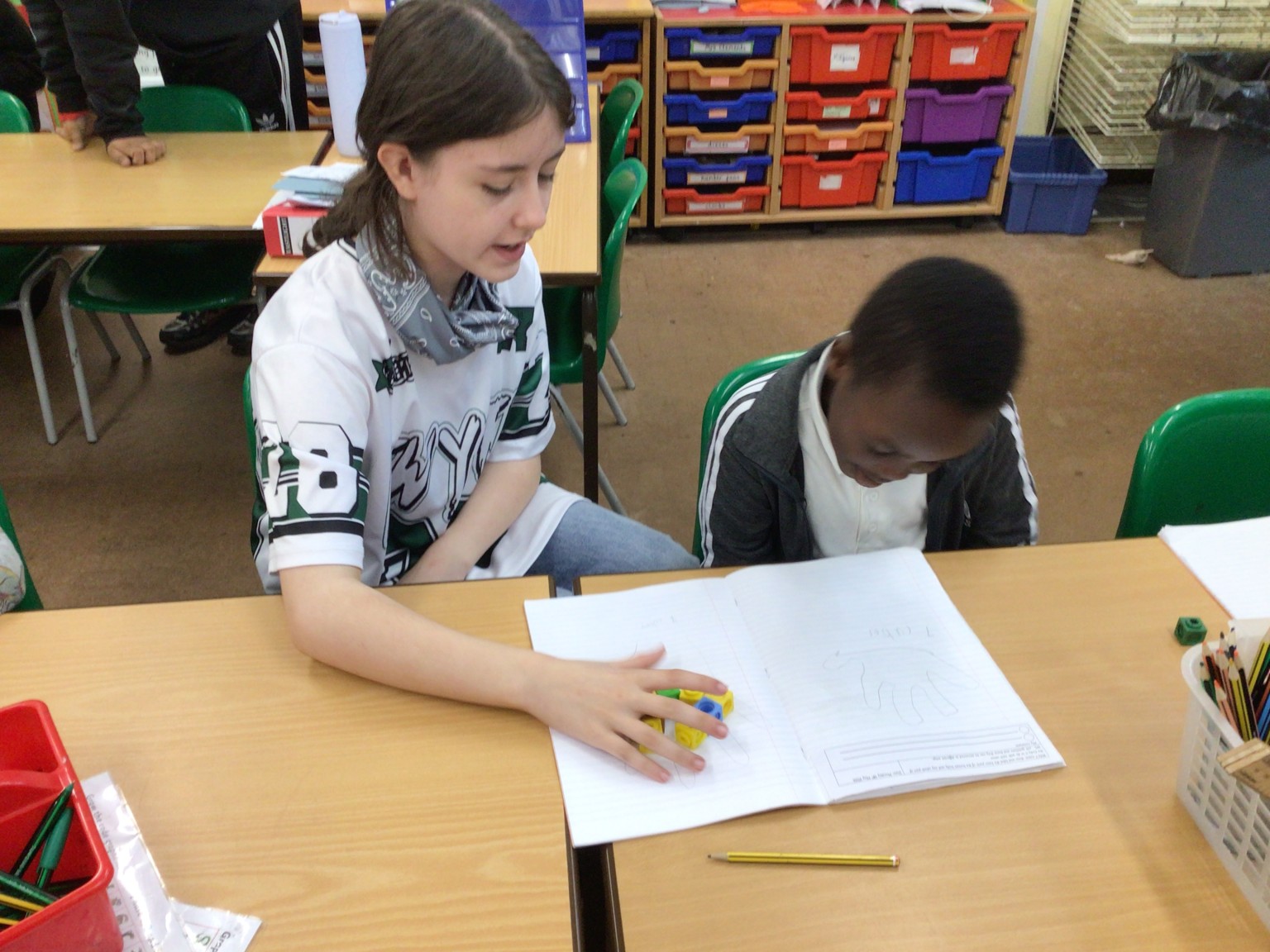 Year 1 Science Investigation 