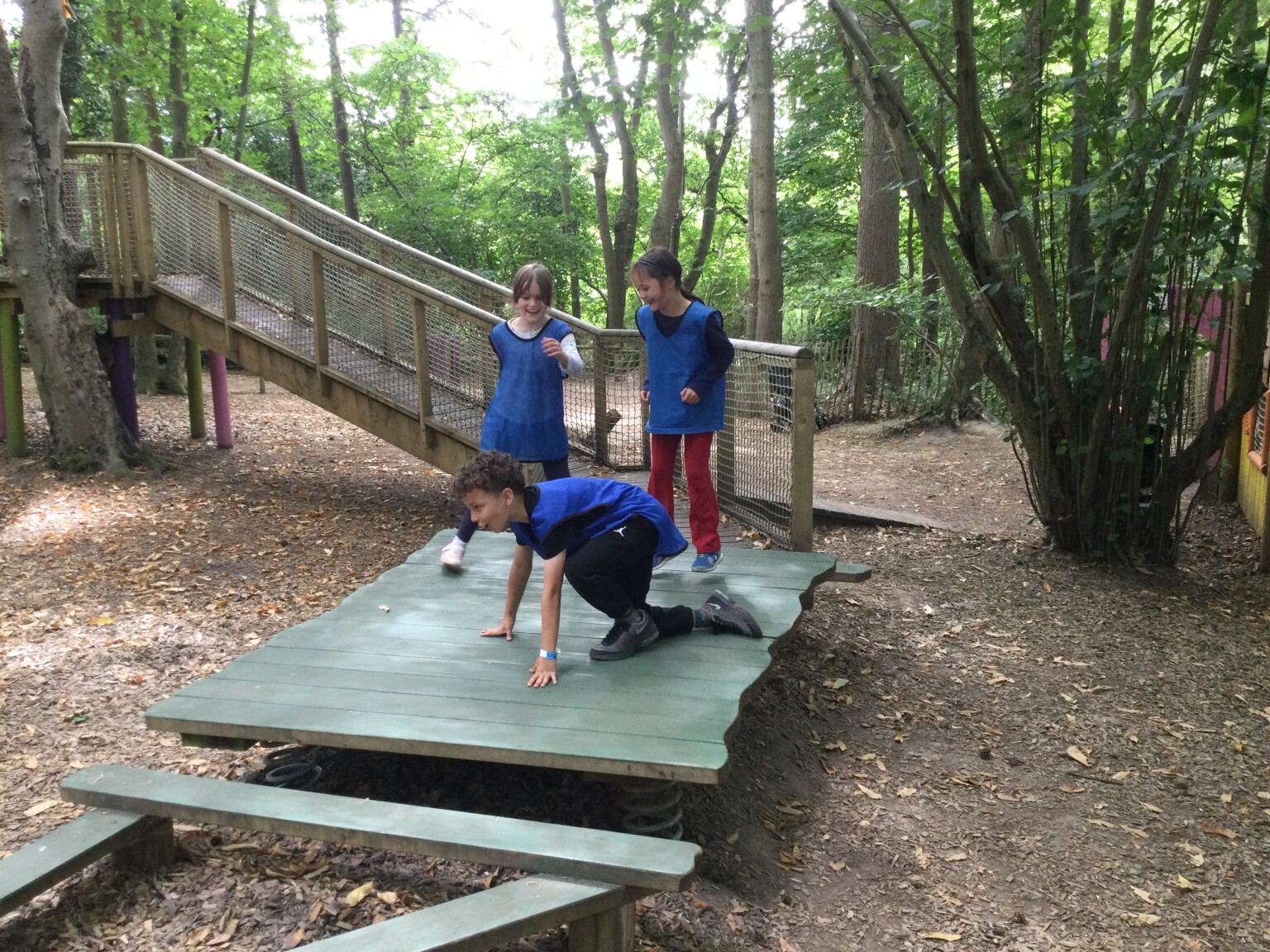 Bewilderwood