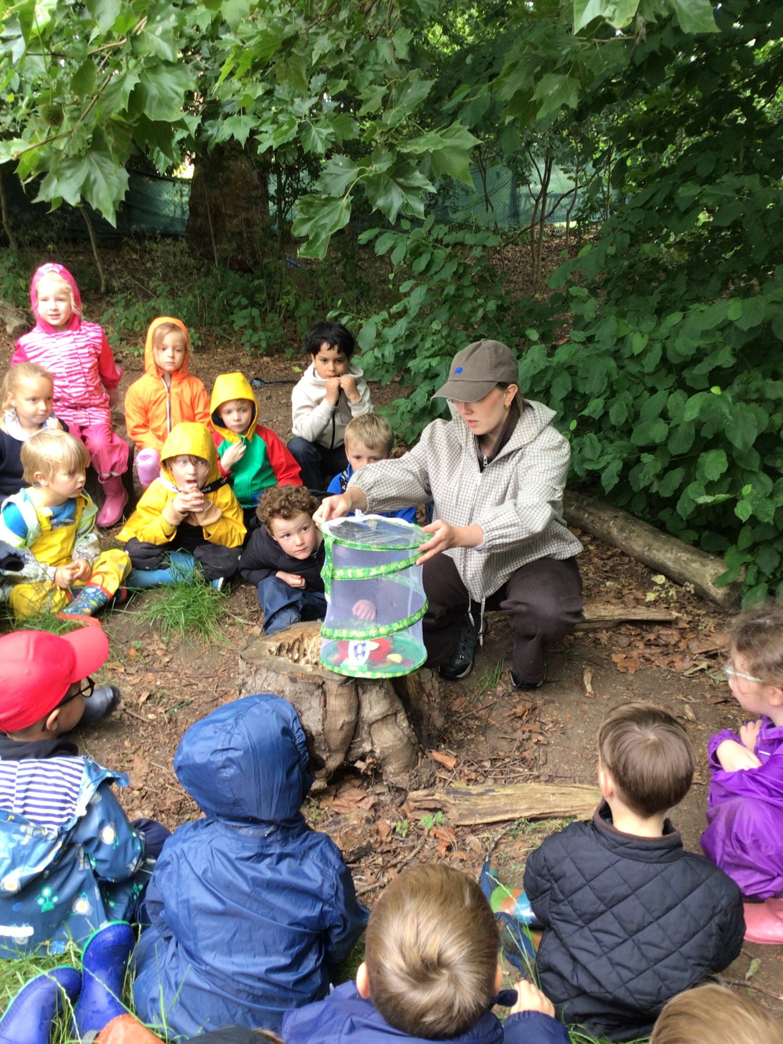 EYFS - Butterfly Release Day! 