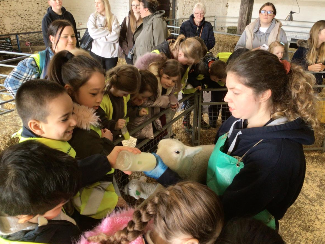 Class 6 Y2 Church Farm Trip