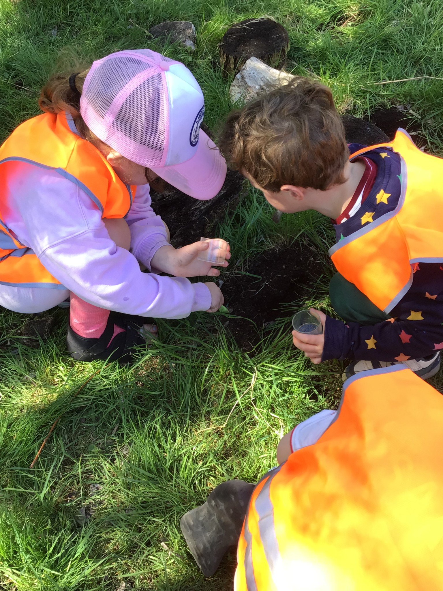 Wicken Fen EYFS