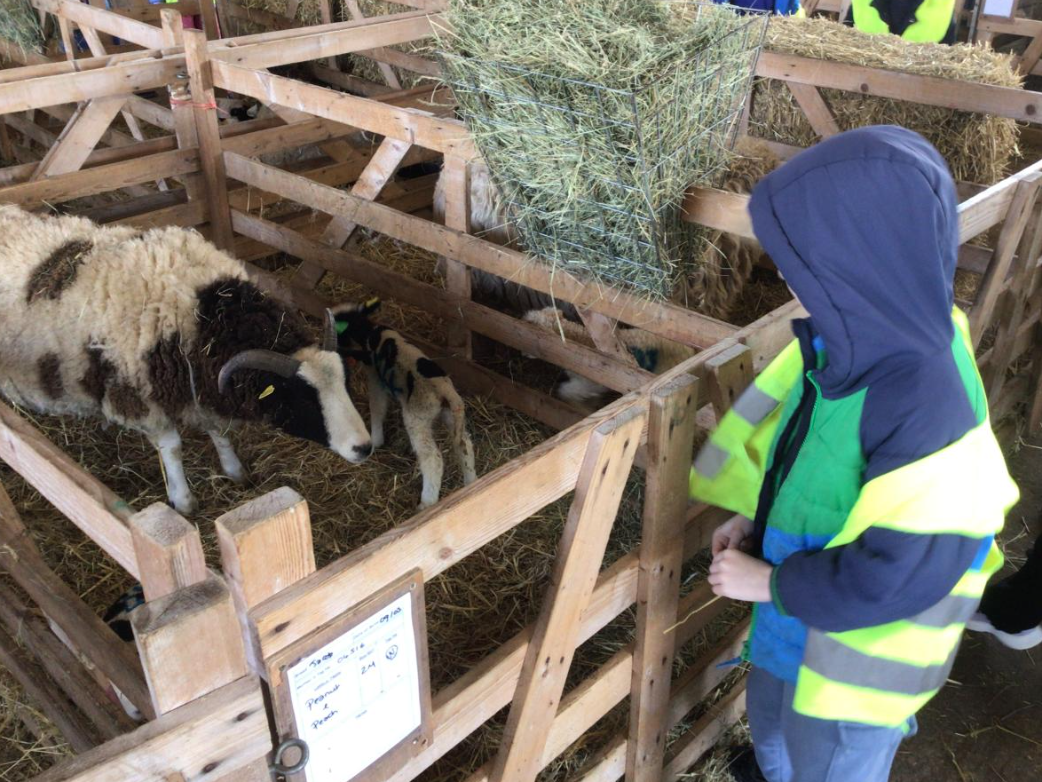Class 5 Y2 Church Farm Trip