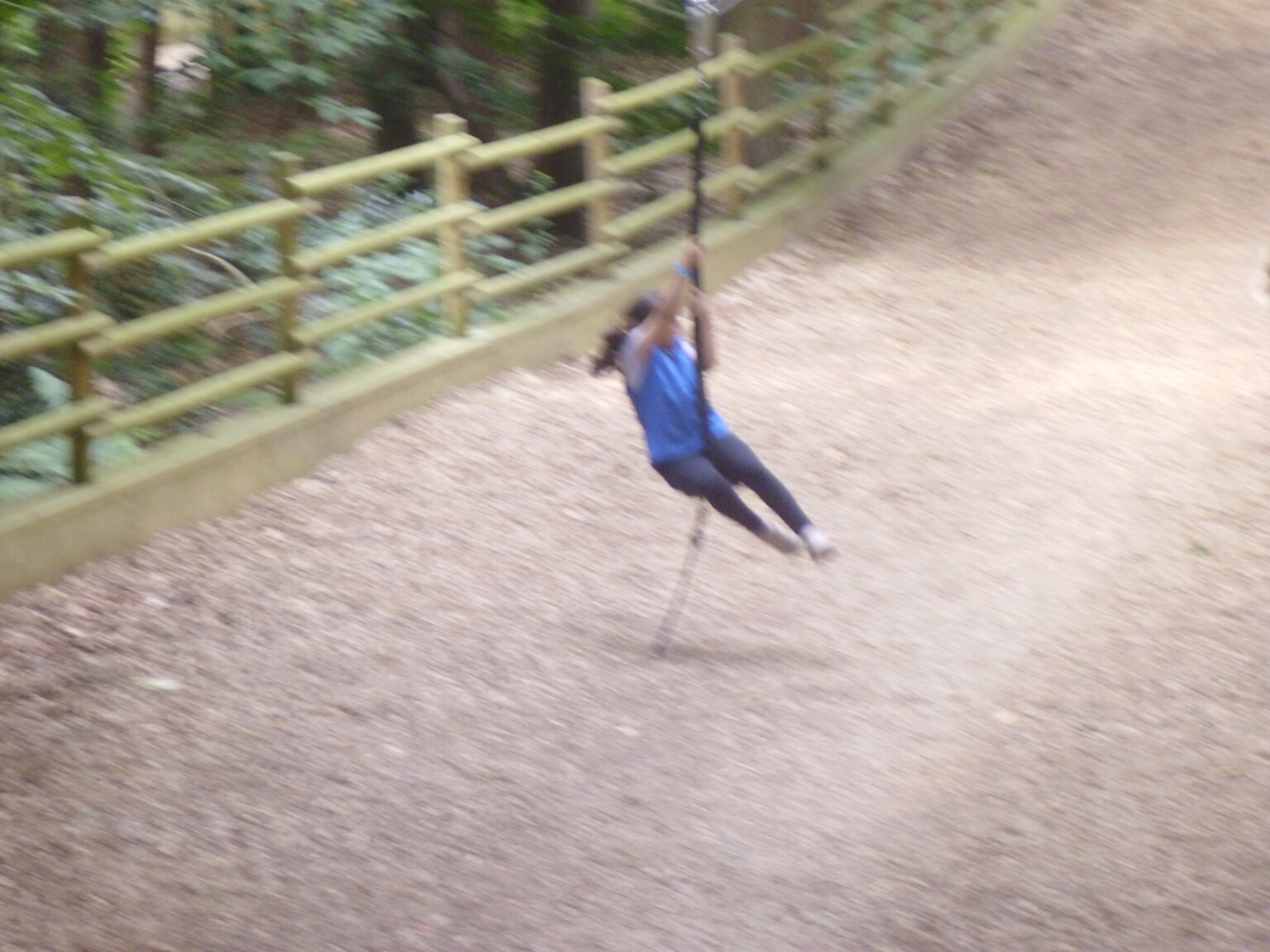 Bewilderwood