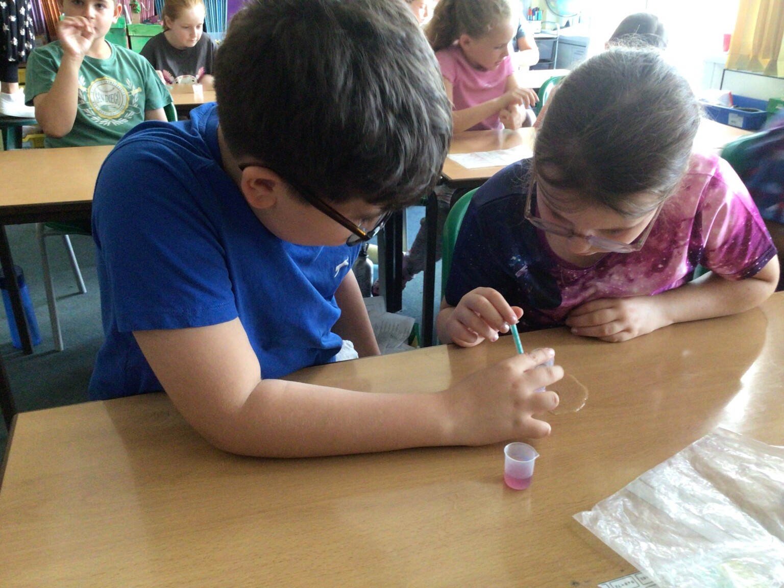 year 4 science
