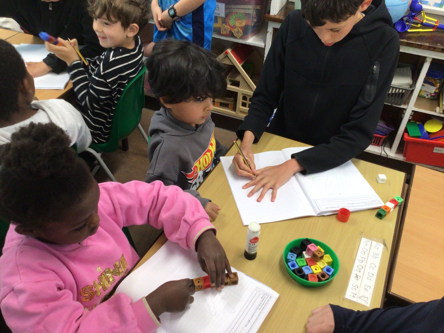 Year 1 Science Investigation 