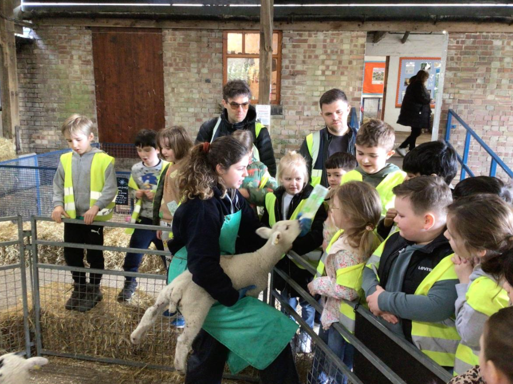 Class 6 Y2 Church Farm Trip