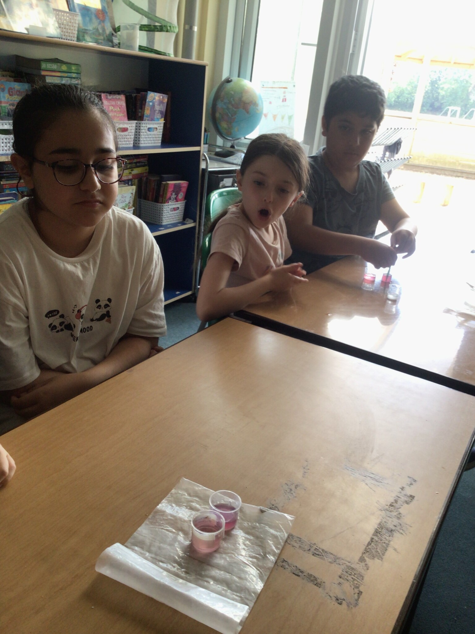 year 4 science