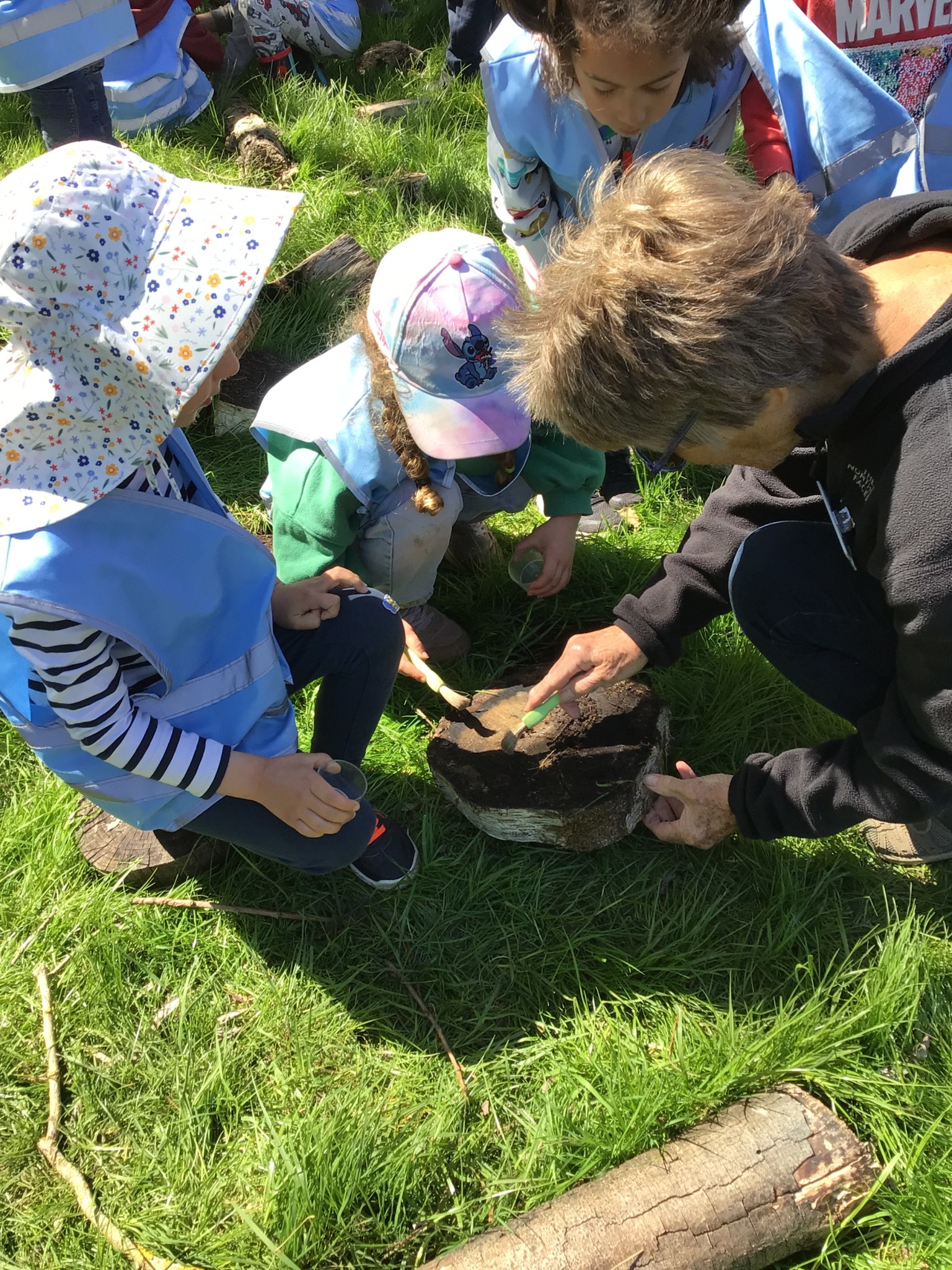 Wicken Fen EYFS