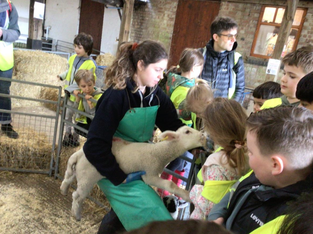 Class 6 Y2 Church Farm Trip