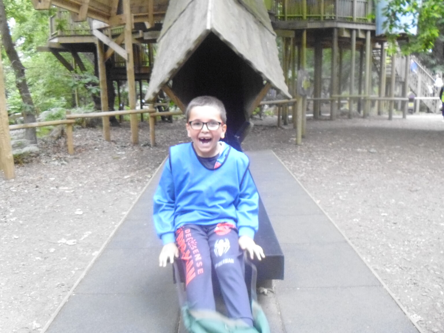 Bewilderwood