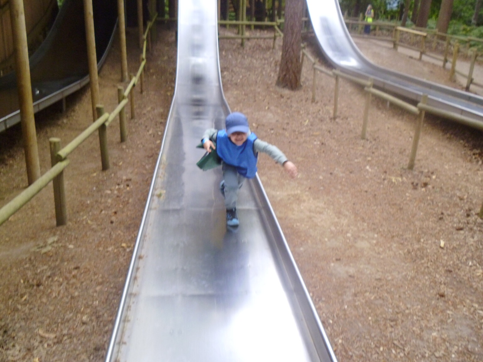 Bewilderwood