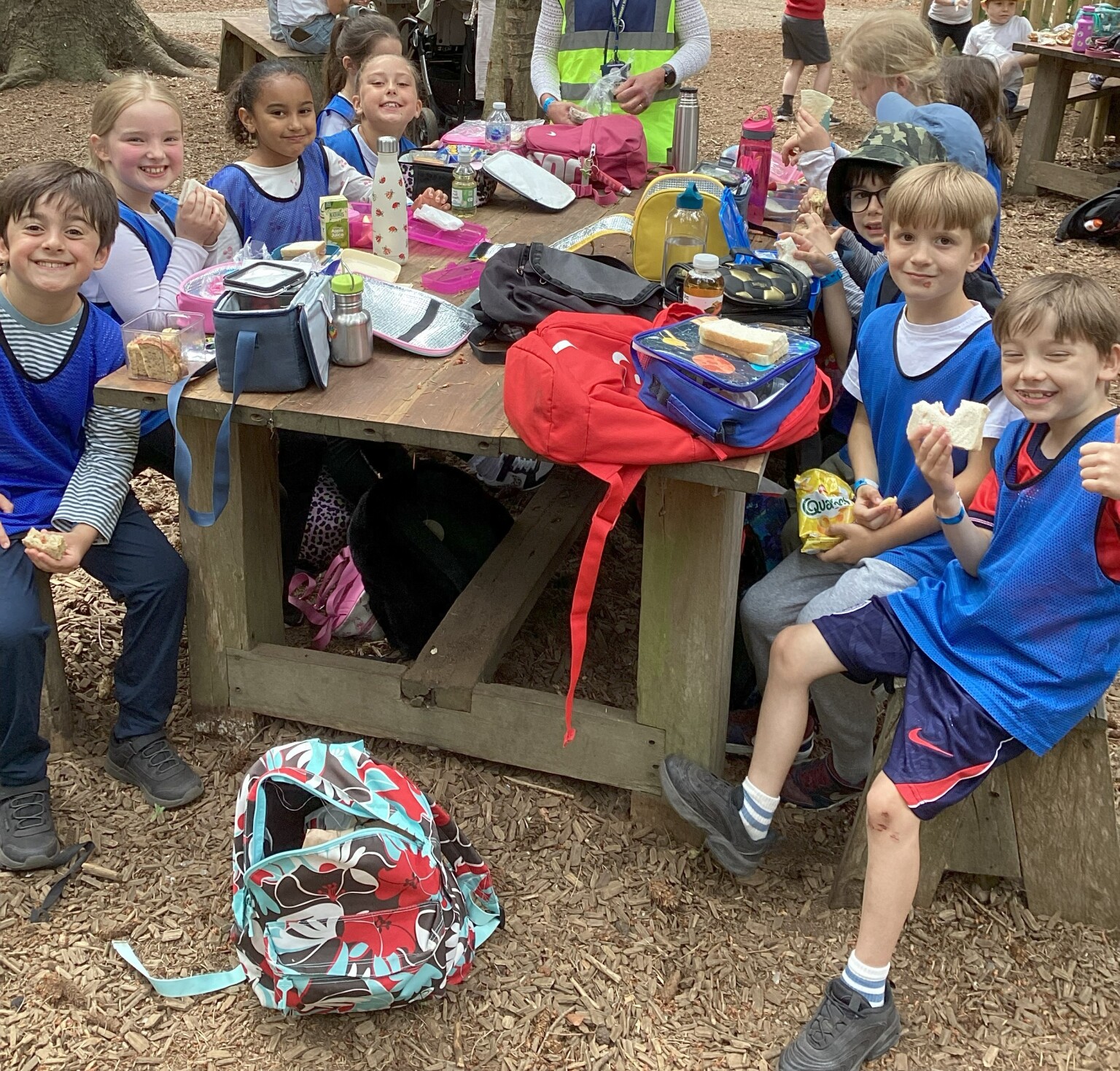 Bewilderwood
