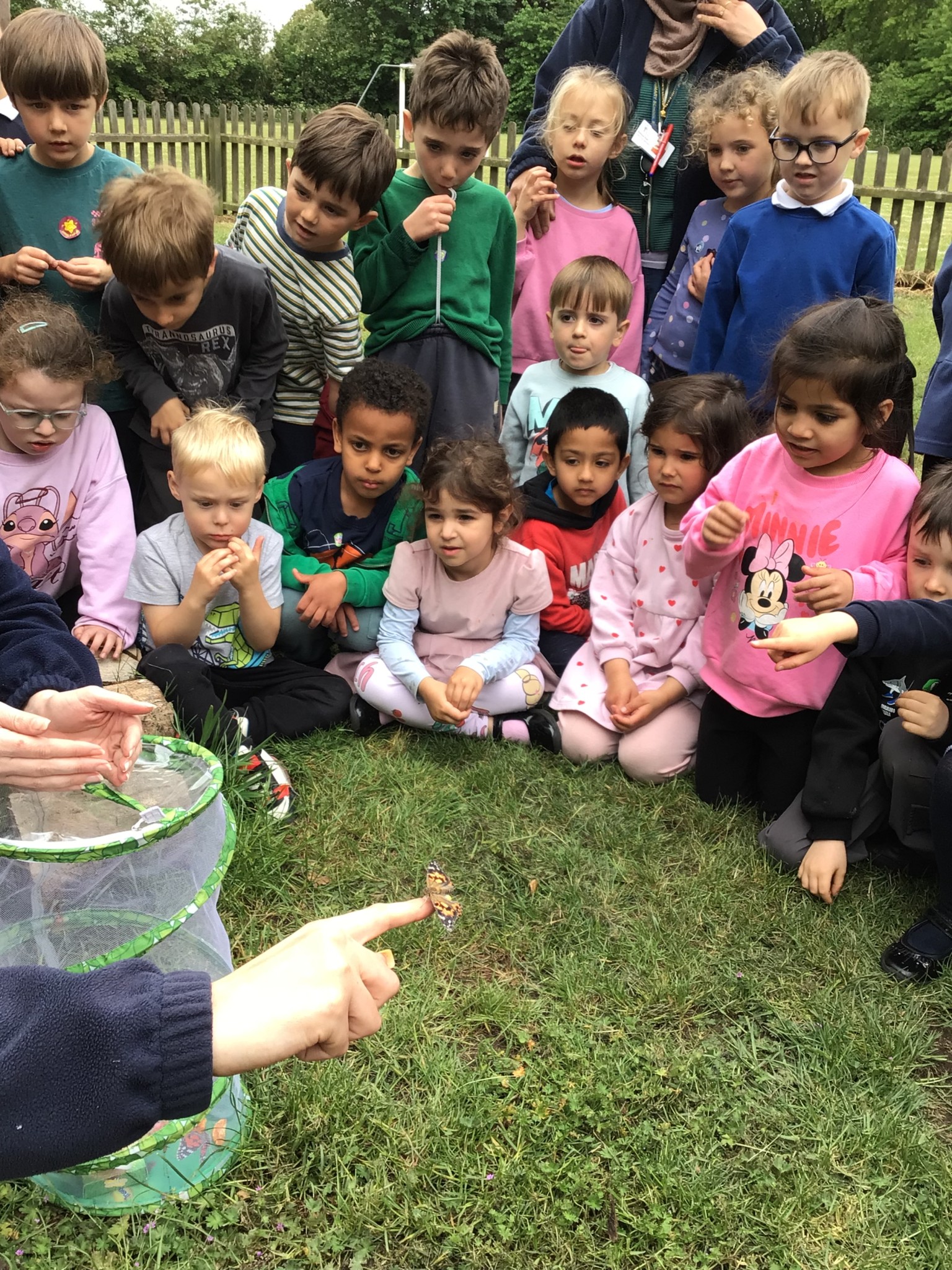 EYFS - Butterfly Release Day! 