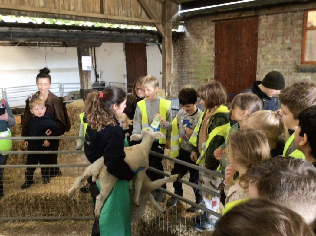 Class 6 Y2 Church Farm Trip