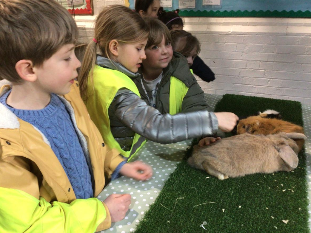 Class 5 Y2 Church Farm Trip