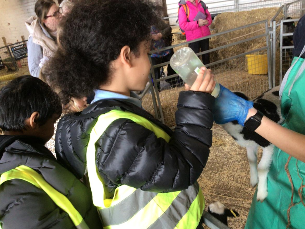 Class 5 Y2 Church Farm Trip
