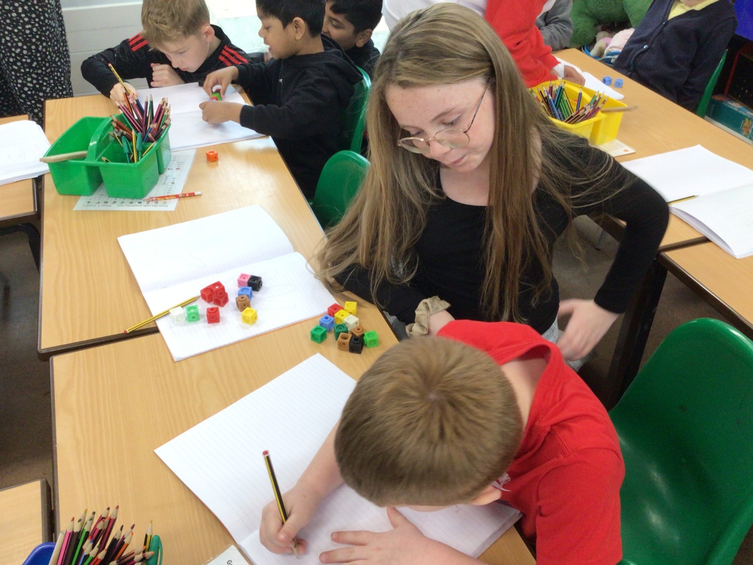 Year 1 Science Investigation 