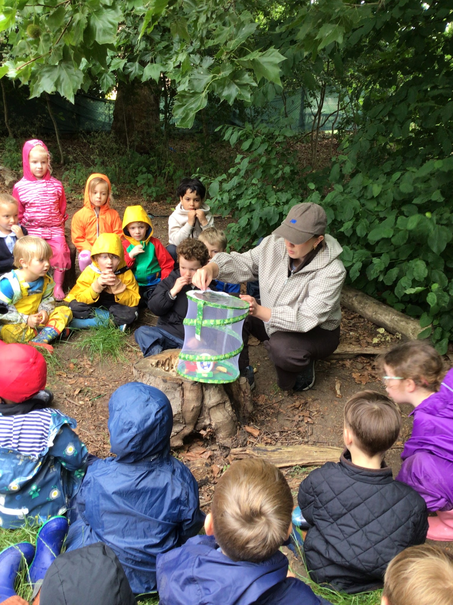EYFS - Butterfly Release Day! 