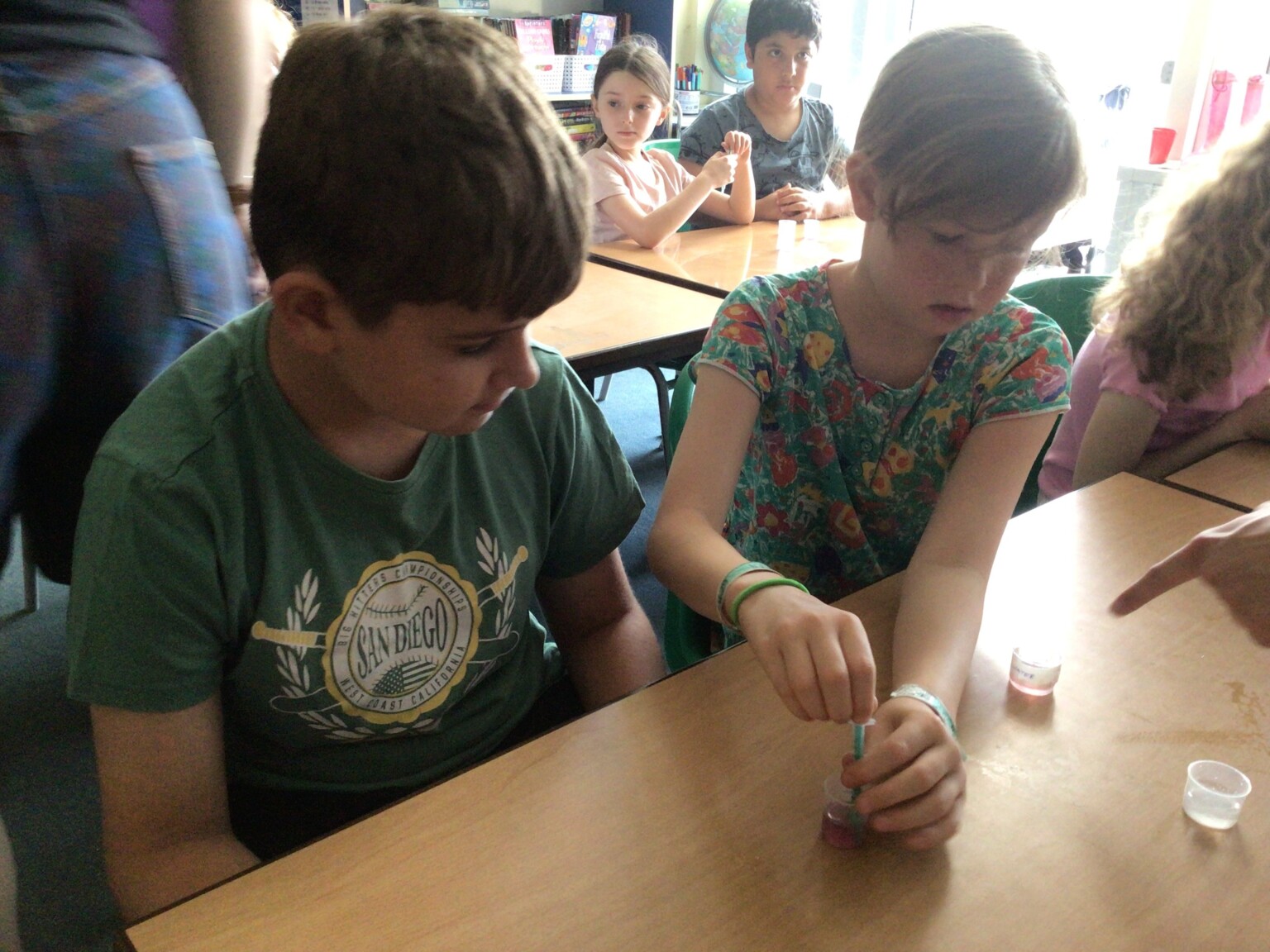 year 4 science