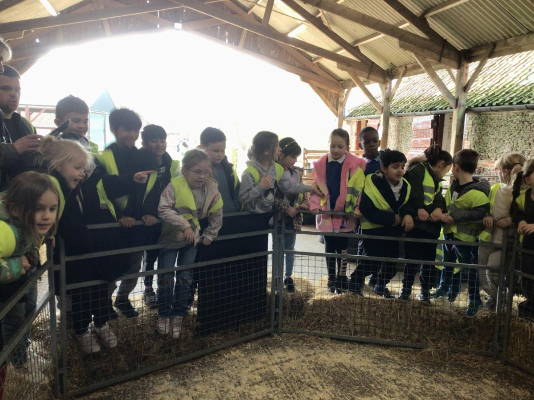 Class 6 Y2 Church Farm Trip